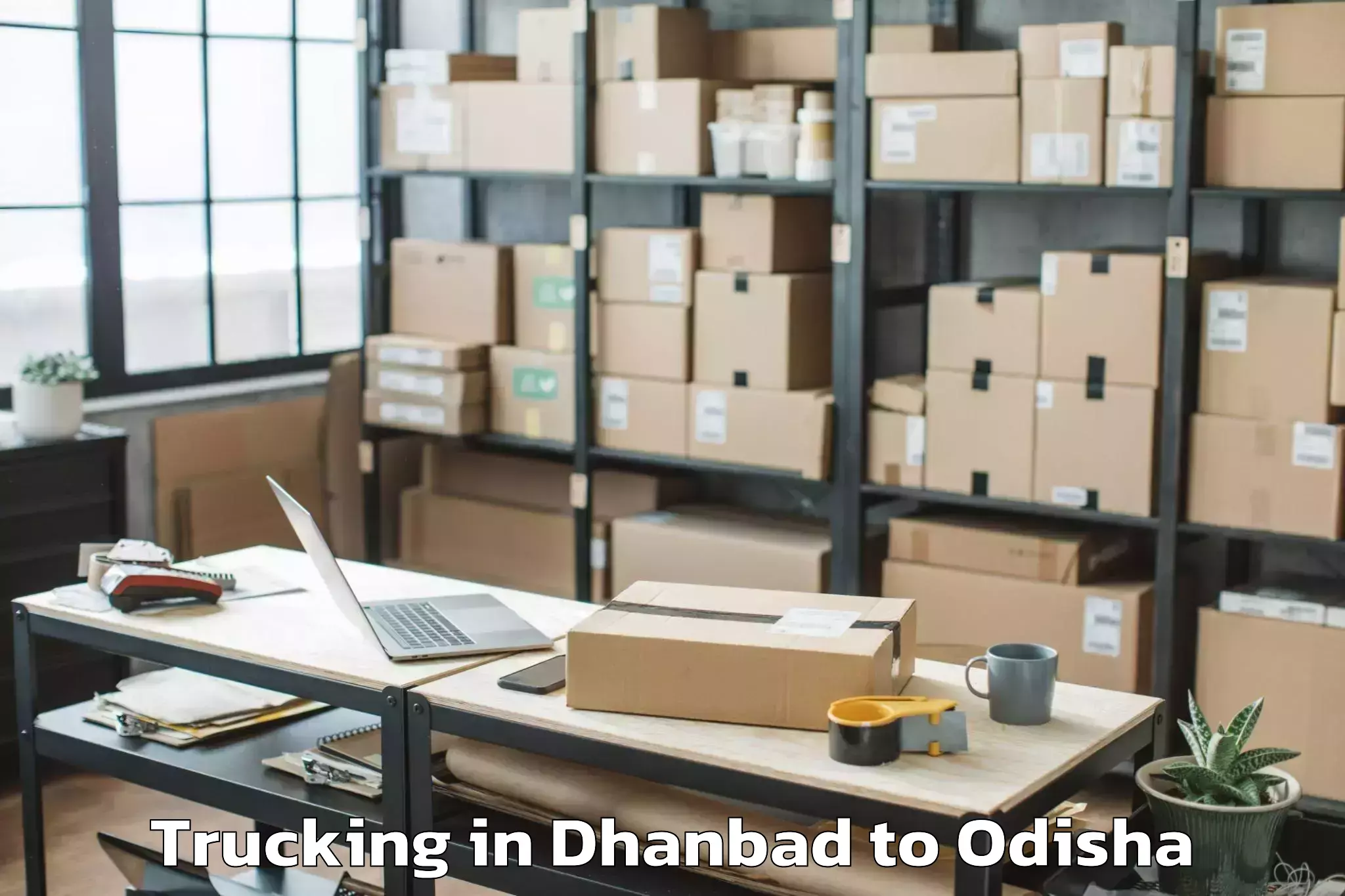 Trusted Dhanbad to Umerkote Trucking